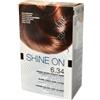 ICIM INTERNATIONAL SPA (BIONIKE) Bionike Shine on trattamento colorante capelli - biondo scuro dorato rame 6. 34