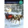Jean Slaughter Doty Winter Pony (Tascabile) Stepping Stone Book