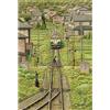 PieceRelax PieceClicks Puzzle 500 Pezzi per Adulti - Tadashi Matsumoto - Fading Shadow | 47,5 x 31,6 cm | Regalo Creativo [U1146]