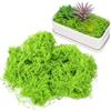 Gadpiparty Piante rampicanti realistiche in miniatura per modellismo fai da te e paesaggio versatile simulazione di banche di edera per erba diorama adatto rocce ciuffi di erba e alberi in miniatura
