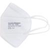 VIRIDEX Mascherina monouso ffp2 nr gs001 pz 10