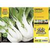 le Georgiche Vivai le Georgiche - Cavolo asiatico Pak-Choi F1 - 1 Plateaux da 6 piantine