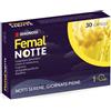 Shionogi Femal Notte 30 Capsule