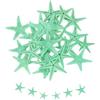 QUARKZMAN 30Pcs Stelle Marine per Artigianato, 0.4-0.8 Piccole Stelle Marine Naturali Conchiglie all'Ingrosso PerParty A Tema Spiaggia Matrimonio Vasi Casa DIY Artigianato, Verde