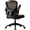 Generic Sedie Da Ufficio Ergonomiche, Supporto Lombare Regolabile, Bracciolo Regolabile, Sedie Per Computer, Sedia Studio Dormitorio Studenti, Sedia Da Studio (Telaio Nero, Rete Nera Senza Poggiates