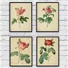 Terilizi Stampe su Tela Botaniche Antiche Poster Stampe Fiori Vintage Rose Pittura Murale Immagini per Soggiorno Home Office Decor-20X30Cmx4 Senza Cornice