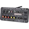 Jenivaint Scheda Amplificatore Audio 200 W, Modulo Amplificatore Amplificatori con Controllo del Volume per Altoparlanti Fai da Te, Home Theater, Audio per Auto, Scheda Alimentatore 12 V 24 V CC 200