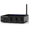 Douk Audio DoukAudio A5PRO - Amplificatore stereo HiFi con TPA3255, 300 W × 2, classe D PFFB, uscita cuffie per home theater, desktop, altoparlanti da scaffale (versione 48 V)