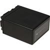 akku-net Batteria per video Panasonic HDC-SD700, 7,2V, Li-Ion