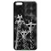 Mixroom - Cover Custodia Back case In TPU Silicone Morbido Per IPHONE 16E Fantasia Giraffe Con Occhiali L153