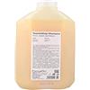 FARMAVITA Back Bar Nº/02 Shampoo Nutriente 5L (Capelli Secchi+Debili), Unico, Standard