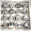 NONE Offerta Speciale: Charm Scintillanti Originali per Gioielli Fai da Te, Regalo Perfetto - Ciondoli a Forma di Cuore, Margherita, Casa, Zampa, Ape, Sacchetto di Denaro, Perline Compatibili con Bracciali