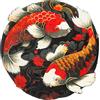 Wash+Dry tappeto Decor Koi Couple 120x120cm, adatto per interni ed esterni, lavabile, multicolore