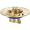QUARKZMAN Sifone Antiodore Per Pavimento, Coprisifone In Ottone Tappo Doccia Antiritorno Adatto Per Tubi Da 1.3-1.7 Bagno Cucina, Oro