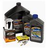 Shop Bikers Kit Tagliando Spectro Olio Motore 20w-50 + Primaria + Cambio + Filtro Olio Nero + Candele X Compatibile Con Harley Davidson Dyna Softail Touring V-rod Dal 1984 Al 1999 - Alta