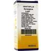 HERING IGNATIAPLUS GTT 30ML - HERING - 800283246
