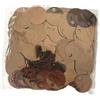 Pallettes Marrone 50 gr