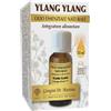 DR.GIORGINI SER-VIS Srl YLANG YLANG OE NATURALE 10ML