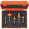 CMT ORANGE TOOLS CMT - 700.005.02 - SET 5 FRESE PROFILATE HW S=6mm