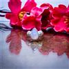 Brillante Milky Opalite Taglio Gemma 925 Argento Sterling Artigianale Anello All