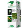 SANGALLI Srl BETULA PUBESCENS 100ML MG