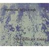 Delicate Rising Neptune and The Sea Nymph (CD)
