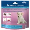 ADAPTIL JUNIOR COLLARE