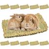 GOEDCH 10 tappetini per erba di piccoli animali: 28 x 20 cm, giocattolo per animali domestici, tappetino per erba naturale tessuto a mano, sicuro, durevole e sicuro per piccoli animali per interni