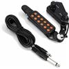 Dilwe Pickup per Chitarra 12 Fori, Trasduttore Pickup Magnetico con Regolazione del Volume Kit di Accordatura Tono per Chitarra