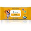 Arya salviette igieniche umidificate detergenti Multiuso 100 salviette Clorexidina - confezione da 6 pezzi - 1° ORDINE? 20% di sconto SU BRAND ESCLUSIVI, codice BZR20