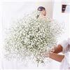 YIWOYI Bouquet di fiori secchi naturali, Gypsophila paniculata, ideali per feste di nozze o decorazione della casa,15-30 cm, 20 g, bianco