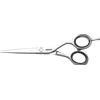 Jaguar CJ4 Plus 9255 5.5 Hair Scissors