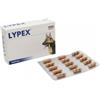 LYPEX 60 Cps - - 976014504