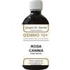 DR.GIORGINI SER-VIS Srl Gemmo 10+ rosa canina liquido analcolico 500 ml - GIORGINI - 924298060
