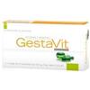 PHYTO ACTIVA GESTAVIT 30CPS - PHYTO ACTIVA - 901772107