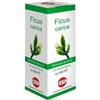 FICUS CARICA MG 100ML GTT - - 904559489