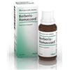 GUNA BERBERIS HOMAC 30ML GTT HEEL - GUNA - 909468199