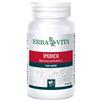 ERBA VITA IPERICO 60CPS 400MG - ERBA VITA - 906114347