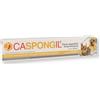 SHEDIR CASPONGIL PASTA 30G - SHEDIR - 945100586