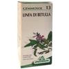 SPECCHIASOL GEMMOSOL 13 BETULLA LINFA 50ML - SPECCHIASOL - 909309332