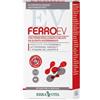 ERBA VITA FERRO EV RETARD 30CPR GASTRORE - ERBA VITA - 982283018