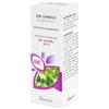 ADAMAH EIE GINKGO 60ML GTT - ADAMAH - 931171045