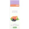 DERBE SHAMPOO ANTI UNTUOSITA - DERBE - 931477638