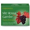 ERBAMEA VITE ROSSA GAMBE TISANA BIO - ERBAMEA - 924885852