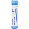 Boiron Arnica Montana 09CH Globuli Monodose - BOIRON - 800025672