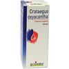 Boiron Crataegus Oxyacantha Tintura Madre 60 ml - BOIRON - 800112361