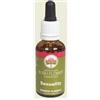 PASSION LOVE 30ML - - 900350745