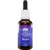 ELECTRO AUSTRALIAN 30ML GTT - - 902517440