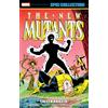 Marvel NEW MUTANTS EPIC COLLECTION: FALLEN ANGELS