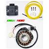 DCM STATORE VOLANO + REGOLATORE YAMAHA XMAX CZD 300 MODIFICA TRIFASE 2017 AL 2024